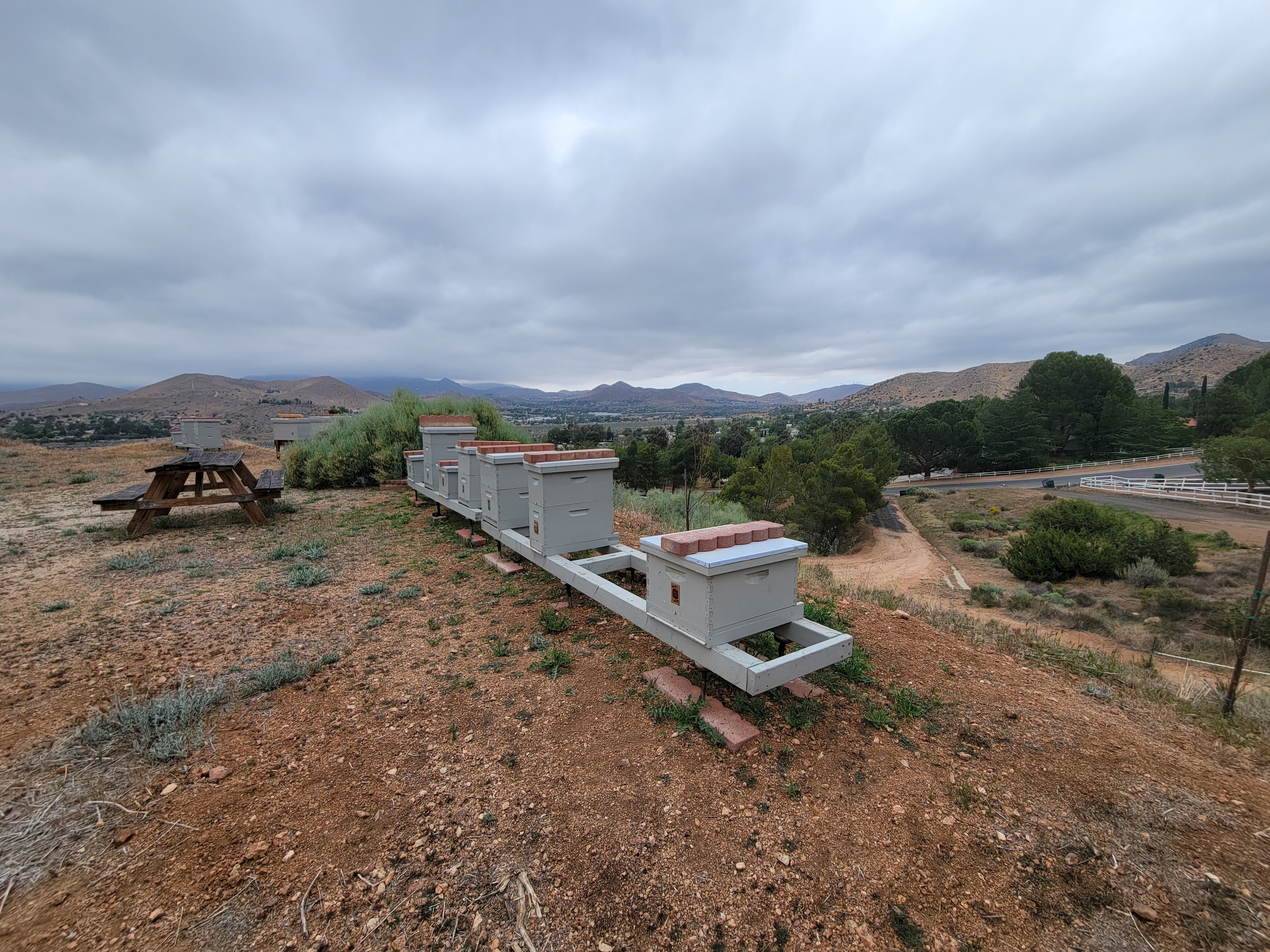 On-property apiary at Tailings Pile Ranch